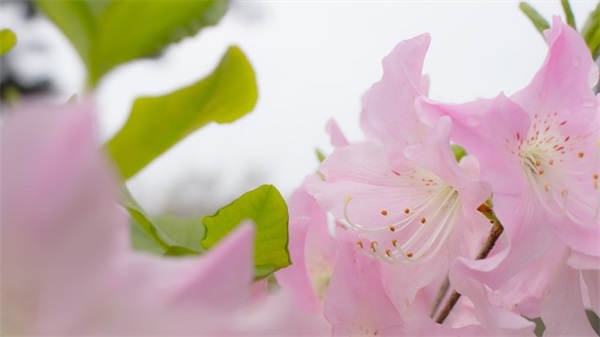 班主任寄语20字带祝福语 【班主任寄语简短20字】