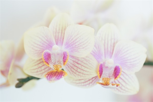 父亲节感恩父亲的句子 父亲节感恩的话