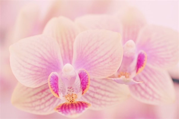 孩子踢球励志句子