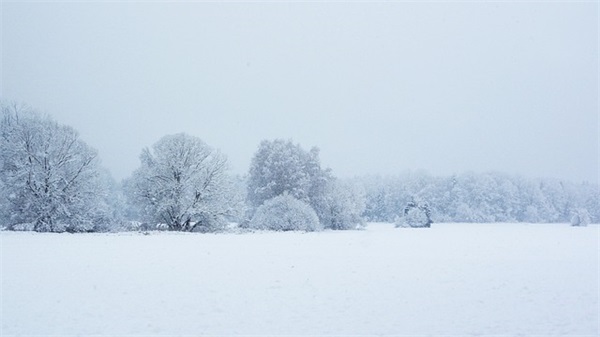 描写挫折的优美句子82句