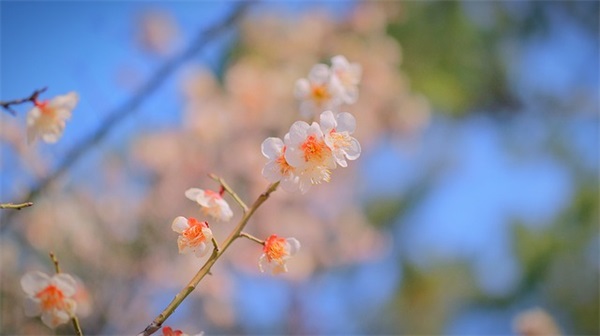 描写老师无私的句子72句