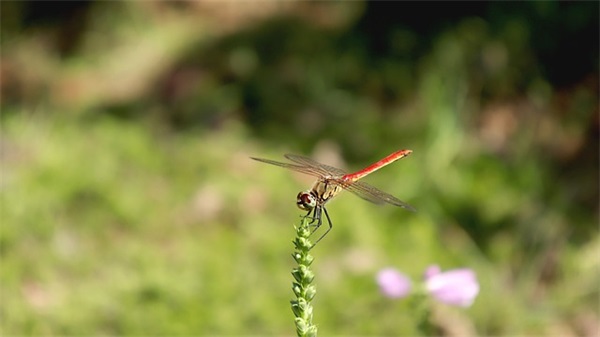 鼓励考生高考句子 鼓励奋斗高考句子