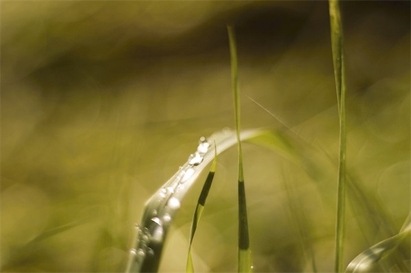 有符号的qq网名(优选67个)