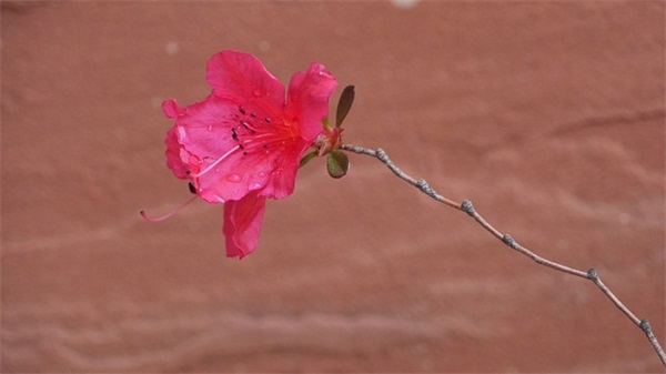 带有七月的好听昵称(优选61个)