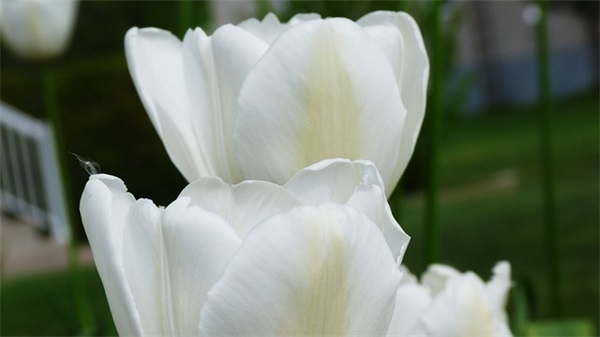 好听脆弱的网名