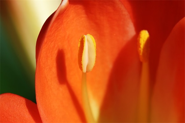 好听的带耀的网名