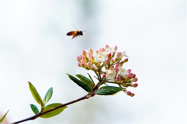 好听的法师铭文页名字(60个)