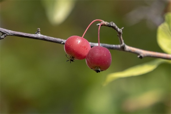 对孩子高考的希望和寄语 【对孩子高考的鼓励】