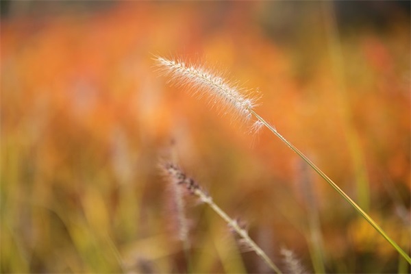写给自己寄语大全 【写给自己的寄语简短】