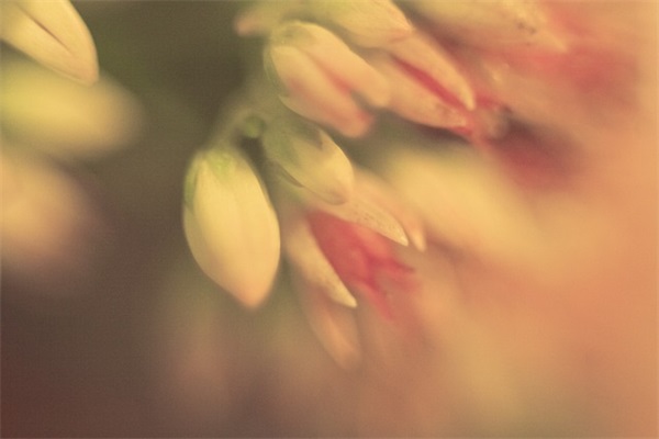 教师对退休教师的寄语 【100句精选】