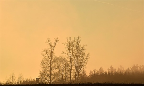 幼儿寄语怎么写简短 【幼儿寄语精简】