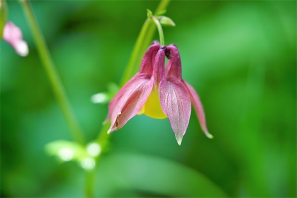 初中家长鼓励寄语与期望 【初中家长鼓励寄语与期望的话】