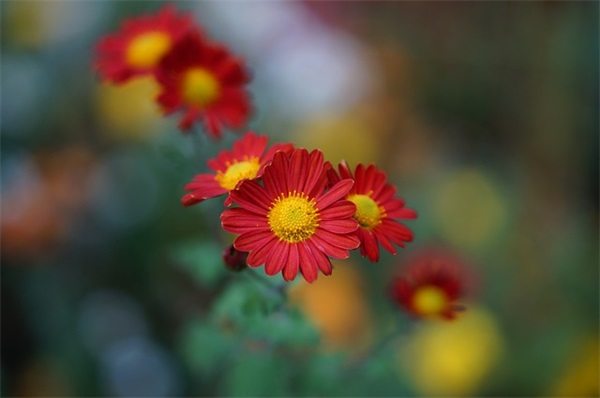 家长寄语怎么写中学生 【2025中学生家长寄语大全简短的】