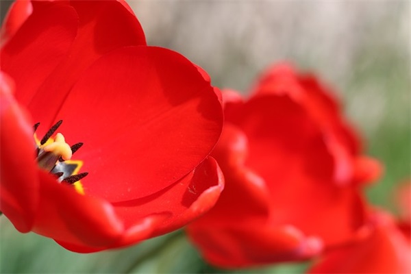 高三物理老师毕业寄语 【高三物理老师毕业寄语大全】