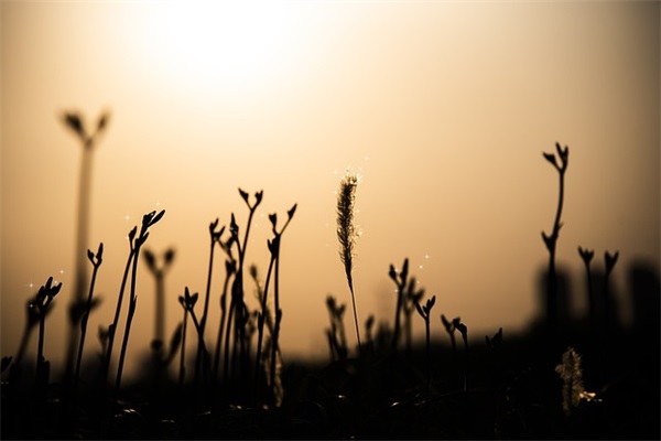 五四青年节对青年寄语 【五四青年节对青年寄语怎么写】