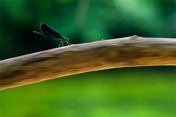 员工离职寄语美好祝愿 【离职员工的祝福语大全】
