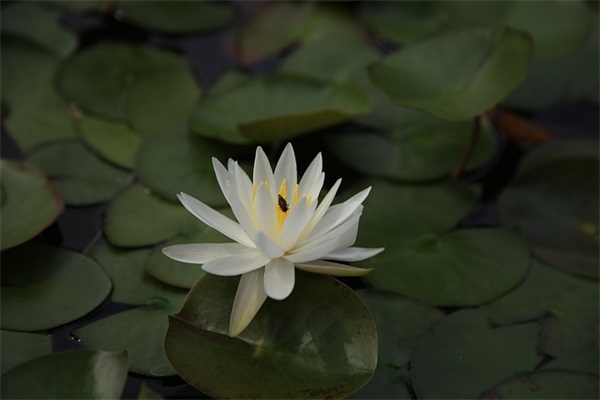 第一天上班的励志句子 第一天上班鼓励的话简短