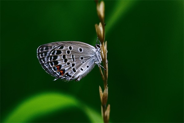 英文的励志句子160句