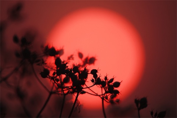 描写春雨雨丝细密的优美句子