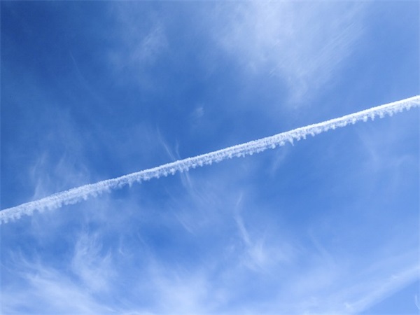 欢庆九九重阳节简约句子