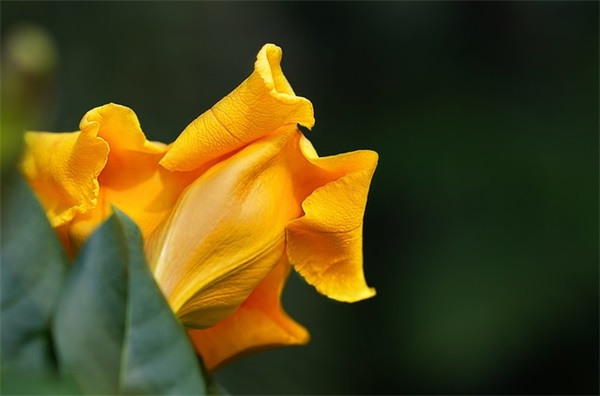 全国高考的祝福句子