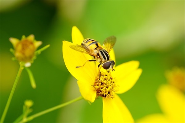 爸爸对儿子成长寄语怎么写-52句