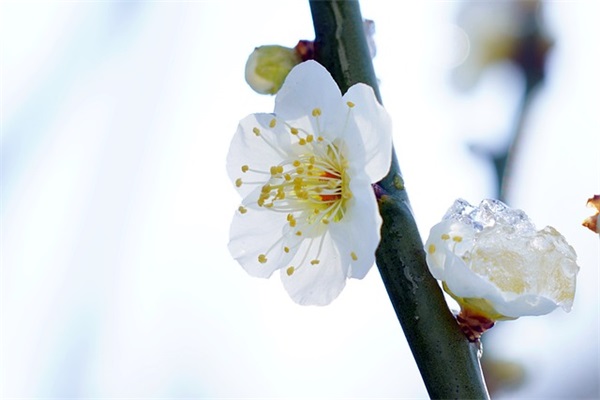 女儿大班毕业家长简短寄语-51句