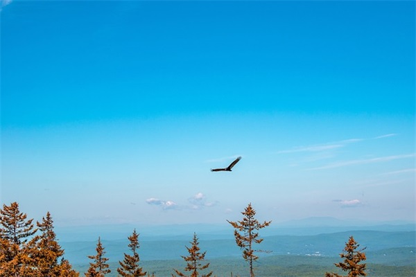 幼儿园毕业妈妈寄语 小孩-53句