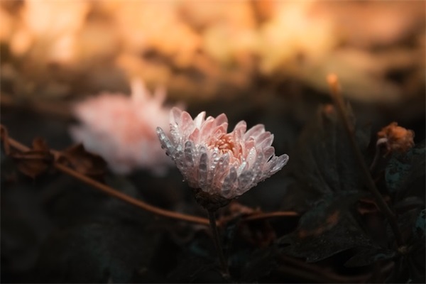 新学期的简短寄语-54句