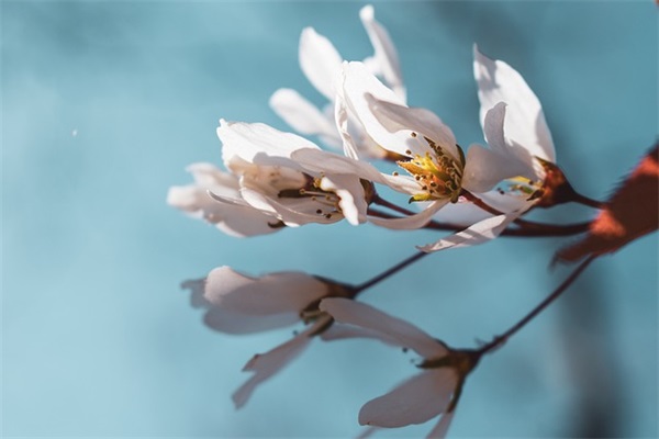 新年对自己的寄语-55句