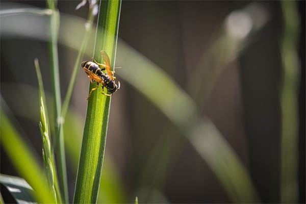 18岁生日寄语给孩子-59句