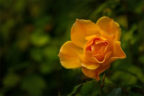 关于支教的寄语-70句