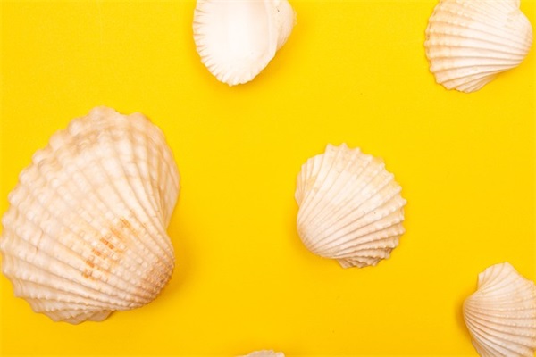 小学生开笔礼的寄语-69句