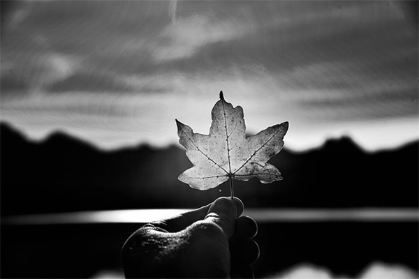 高中生综合素质家长寄语怎么写-40句