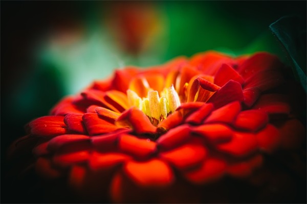 好听的名字女孩仙气网名