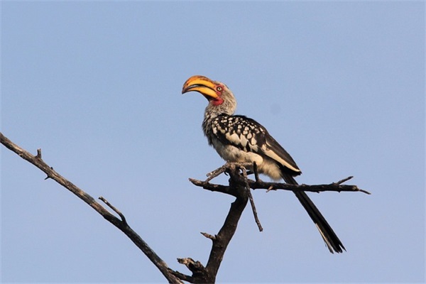 安慰女生快点从失恋的痛苦走出的句子四十条