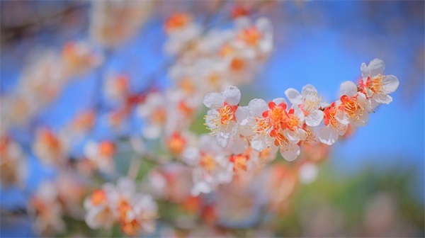 青年励志语录经典语录