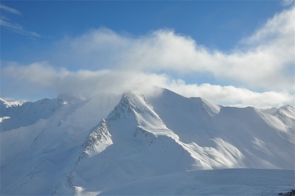 木心语录句子大全