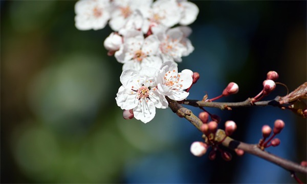 经典社会的语录短句快手22条