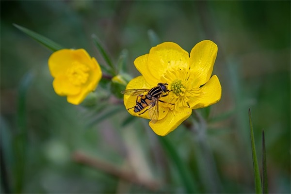 夸照片好看的句子