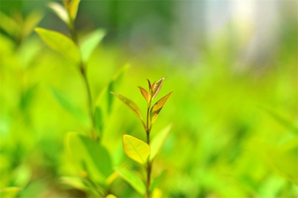 关于哄女朋友开心的句子