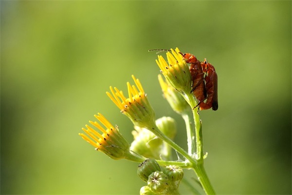 好友留言的祝福句子90句