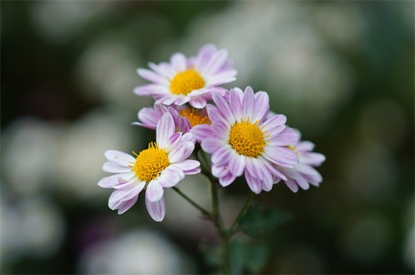 误会的句子183句