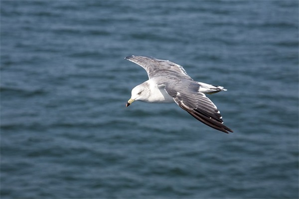 人生感慨的经典说说