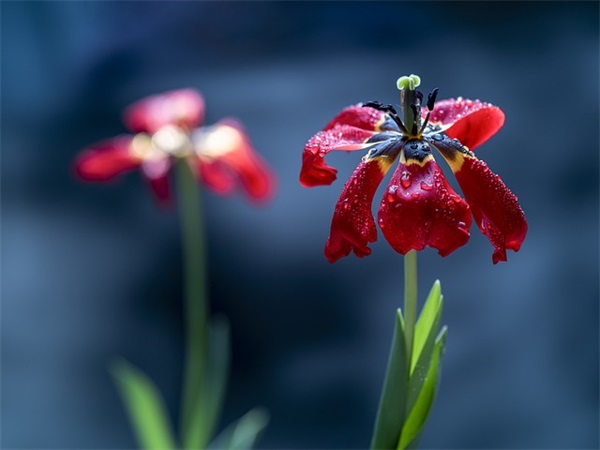 沿途风景的句子103句