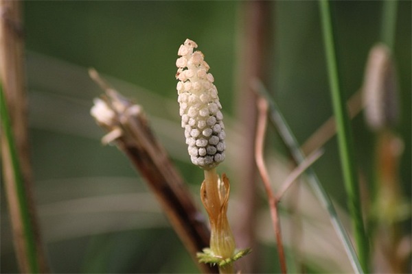 孩子开心的句子