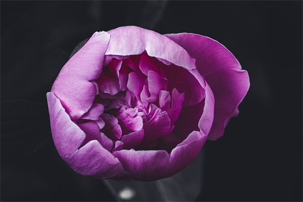 写桥的句子121句