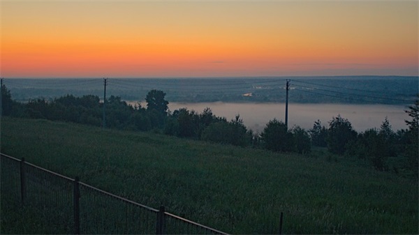 形容油菜花的简短句子80句