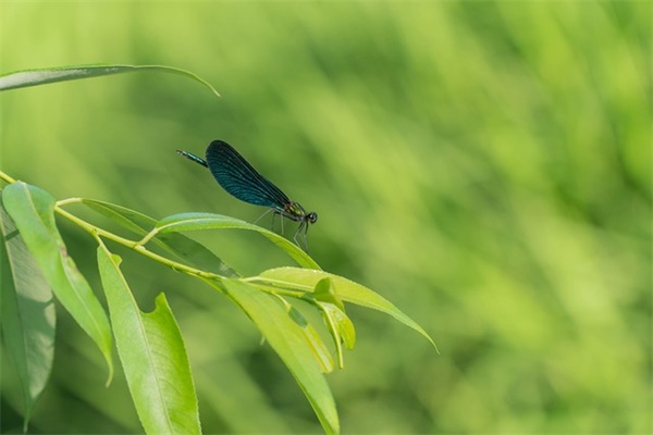 打击人的句子126句