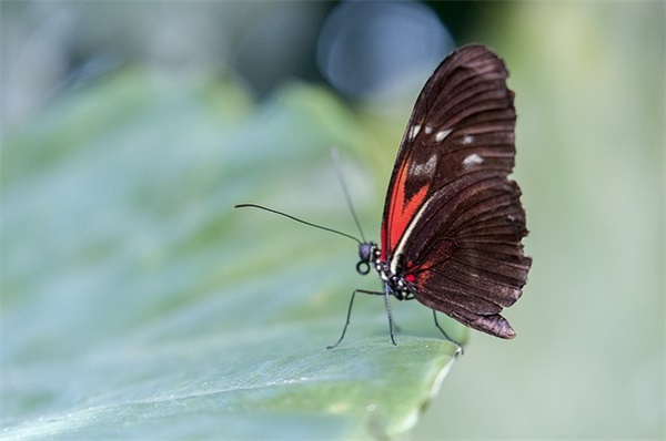 二年级优美句子摘抄67句